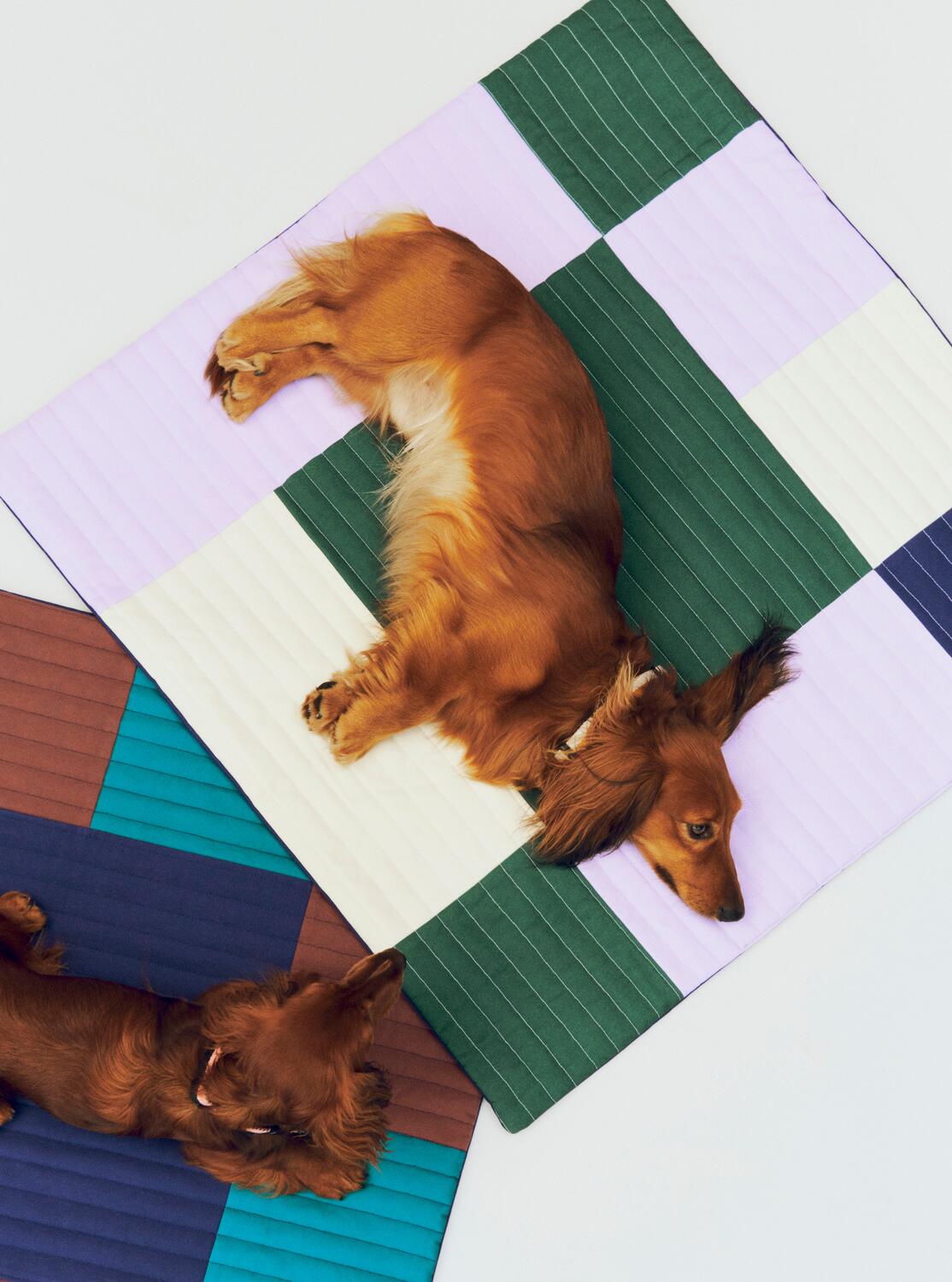 Rejsetæppe til hunde, Lavendel/grøn - 80x80 cm.